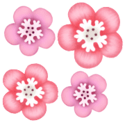 029