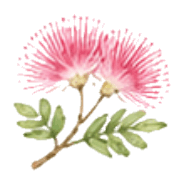 019