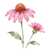 024