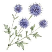 028