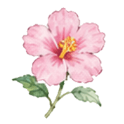 034