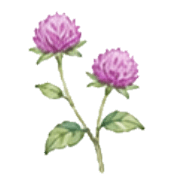 035