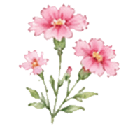 038