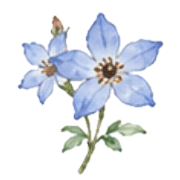 039