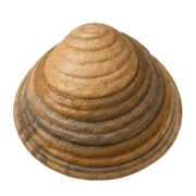 028