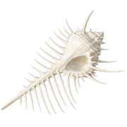 025