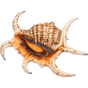 026