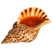027