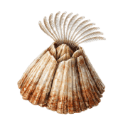 028