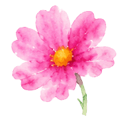 019