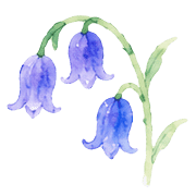 020