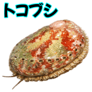 006