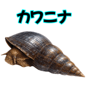 008