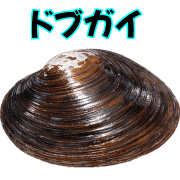 011