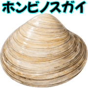 017