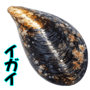 020