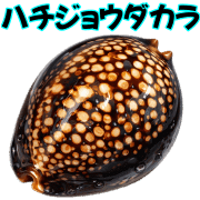 023