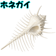 025