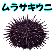 034