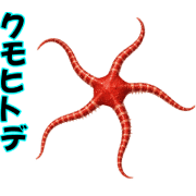 036
