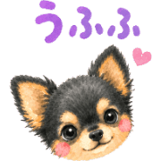 031