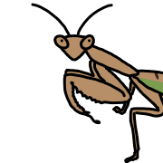 007