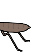 010