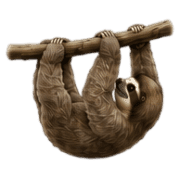 011