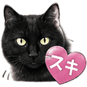 034