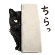 039