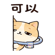 004