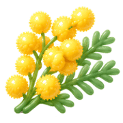 011