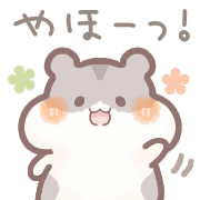 003