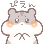 016