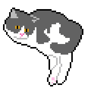 023