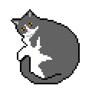 031