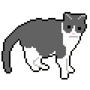 035