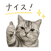 007