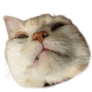 002