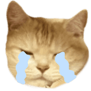 004