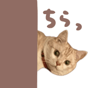 025