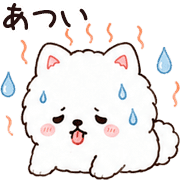 020