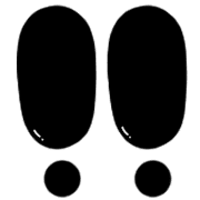 006