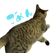 013