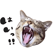 015