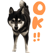 032