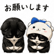 003