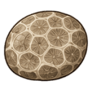 032