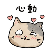 005