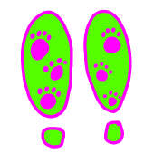 034